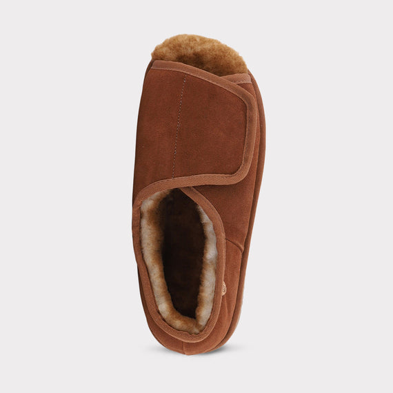 Chestnut