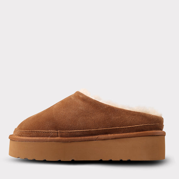 chestnut/multi