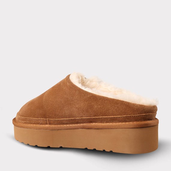 chestnut/multi
