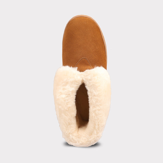 Chestnut