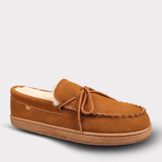 Chestnut