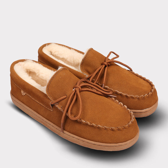 Chestnut