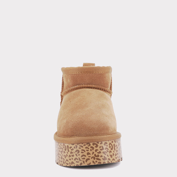 Chestnut/Leopard