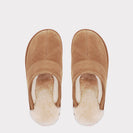 Chestnut