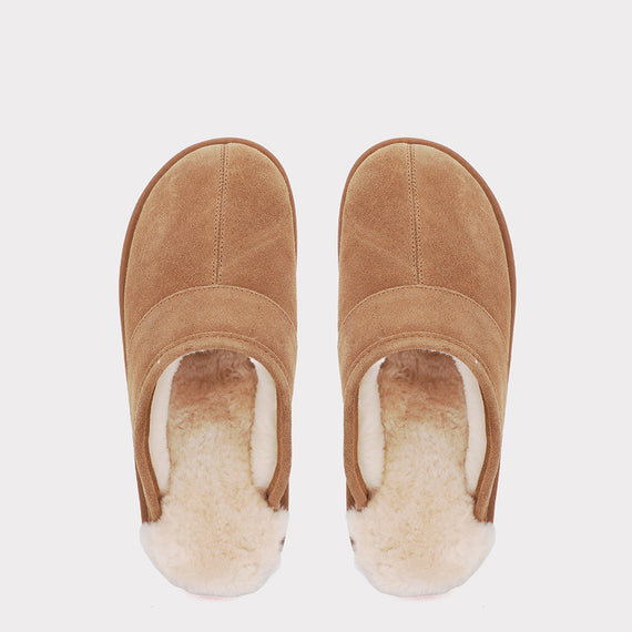 Chestnut