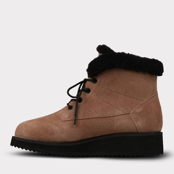 Brown/Black