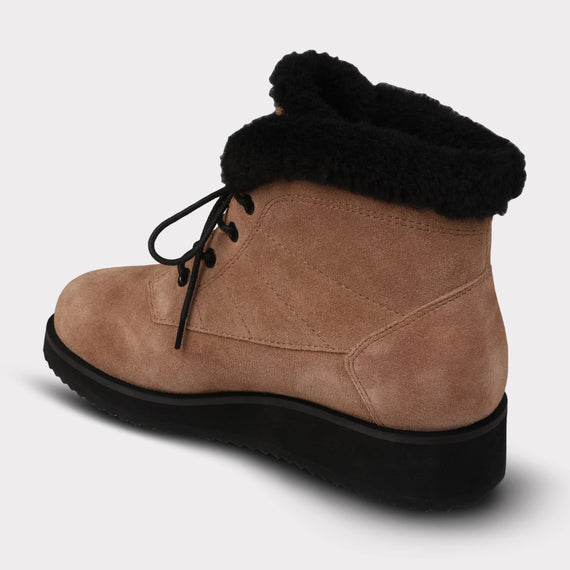 Brown/Black