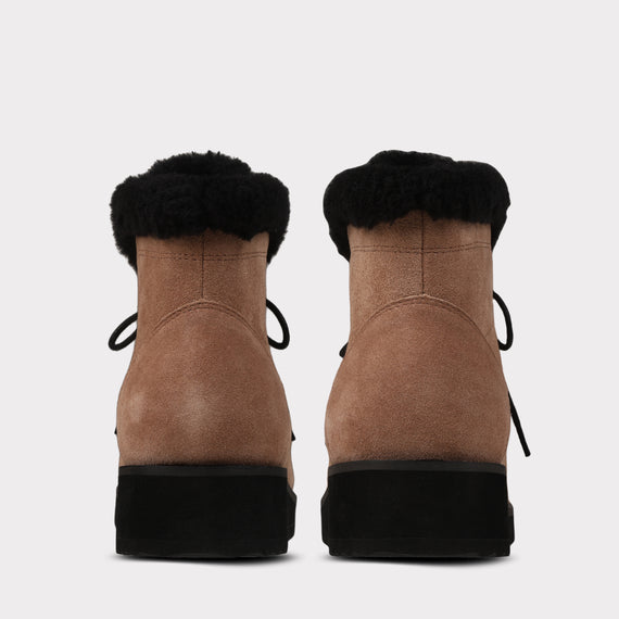 Brown/Black