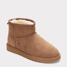 Chestnut