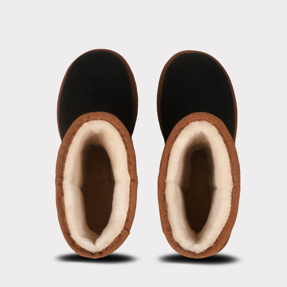 Black/Chestnut