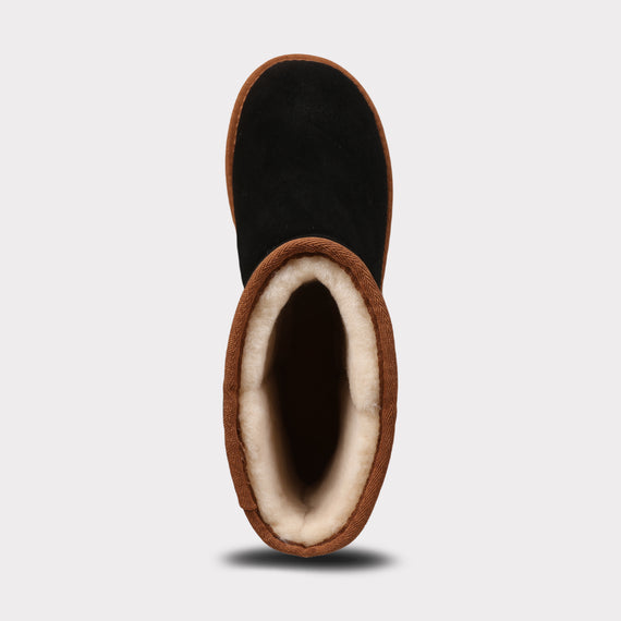 Black/Chestnut