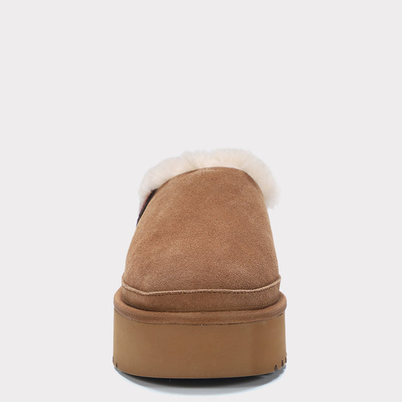 Chestnut