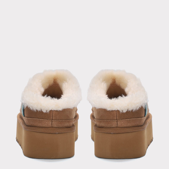 Chestnut