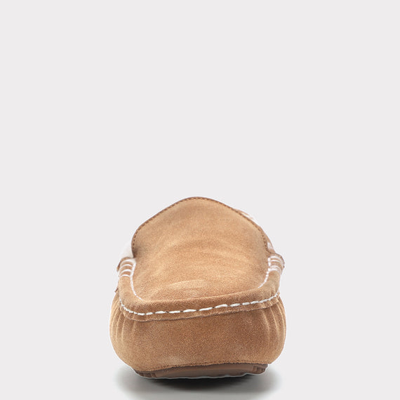 Chestnut