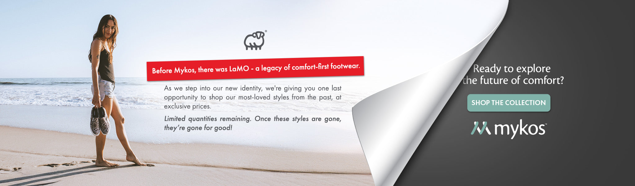 Thank you for supporting LaMO