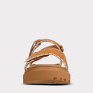 chestnut