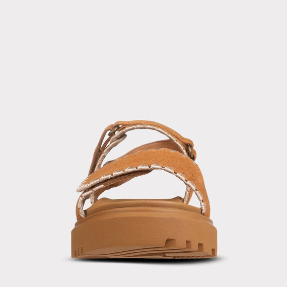 chestnut