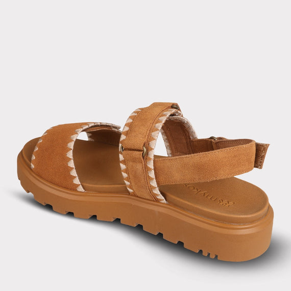 chestnut
