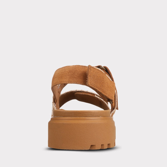 chestnut