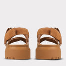 chestnut