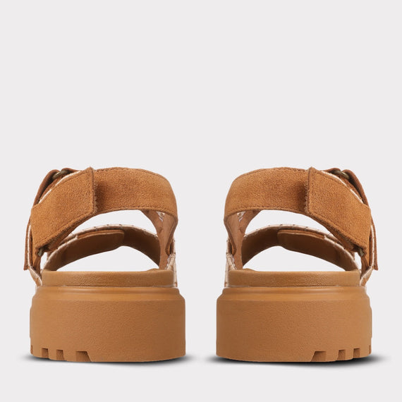 chestnut